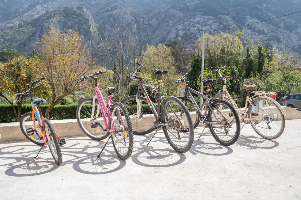 Marea Deluxe Apartments Kotor Zewnętrze zdjęcie