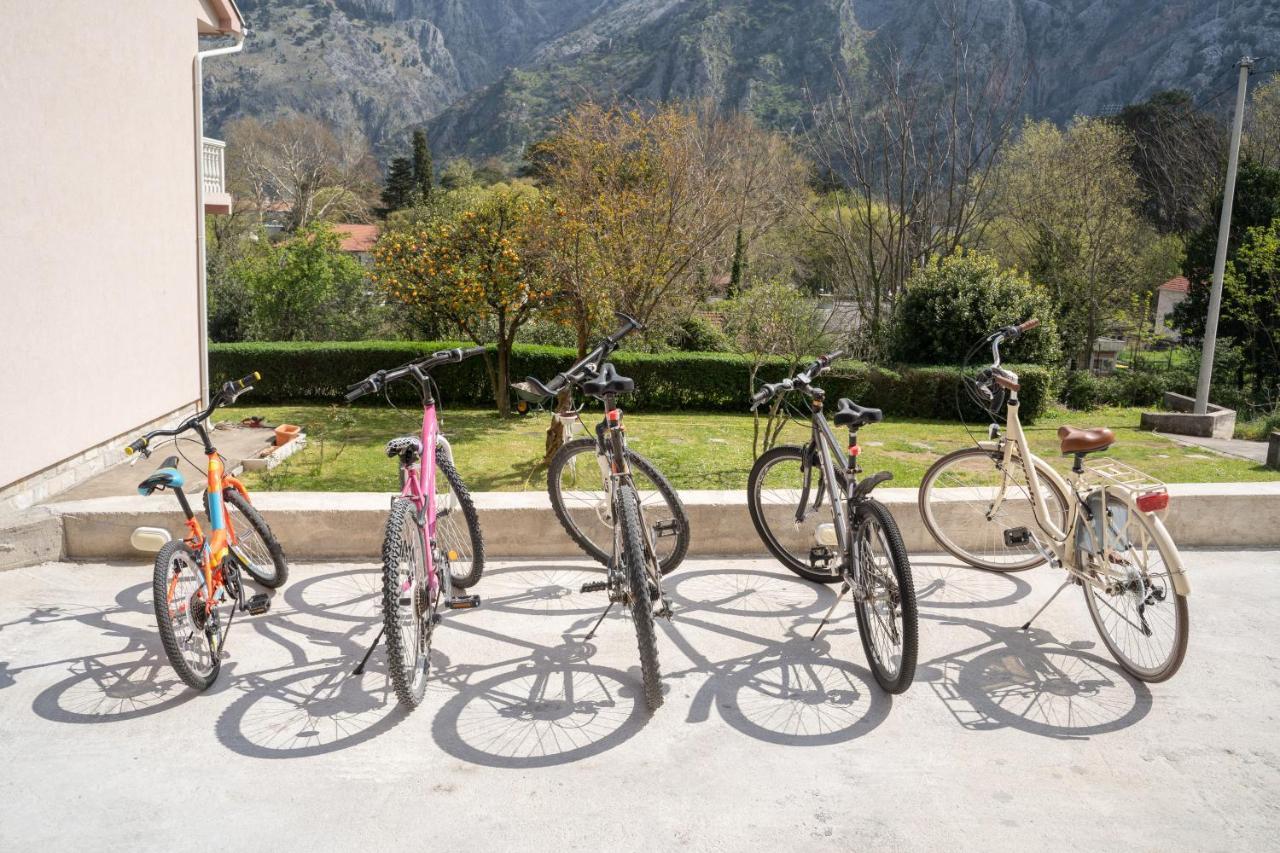Marea Deluxe Apartments Kotor Zewnętrze zdjęcie